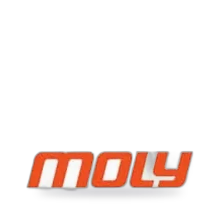 Moly Dişli, Rulman ve Zincir Yağları