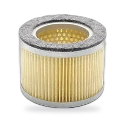Becker Air Filter 909507