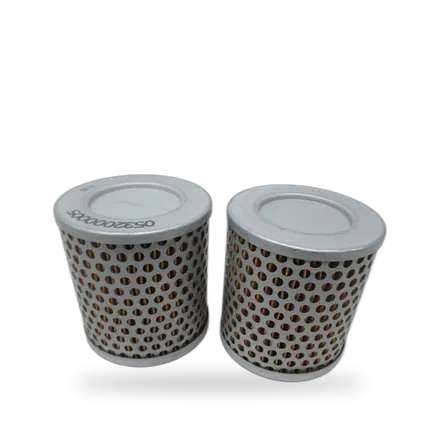 Busch Air Filter 0532000005