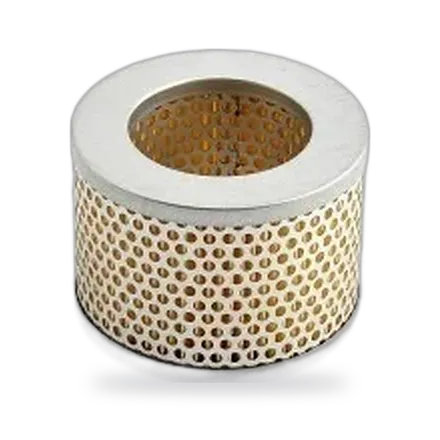 Busch Air Filter 0532000002