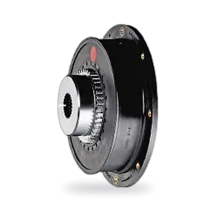 BoWeX Flexible Coupling